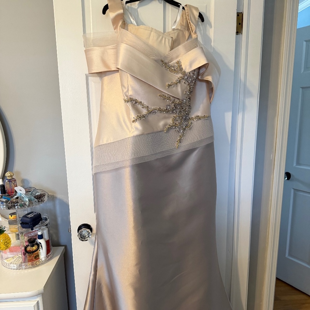 Terani counture dress